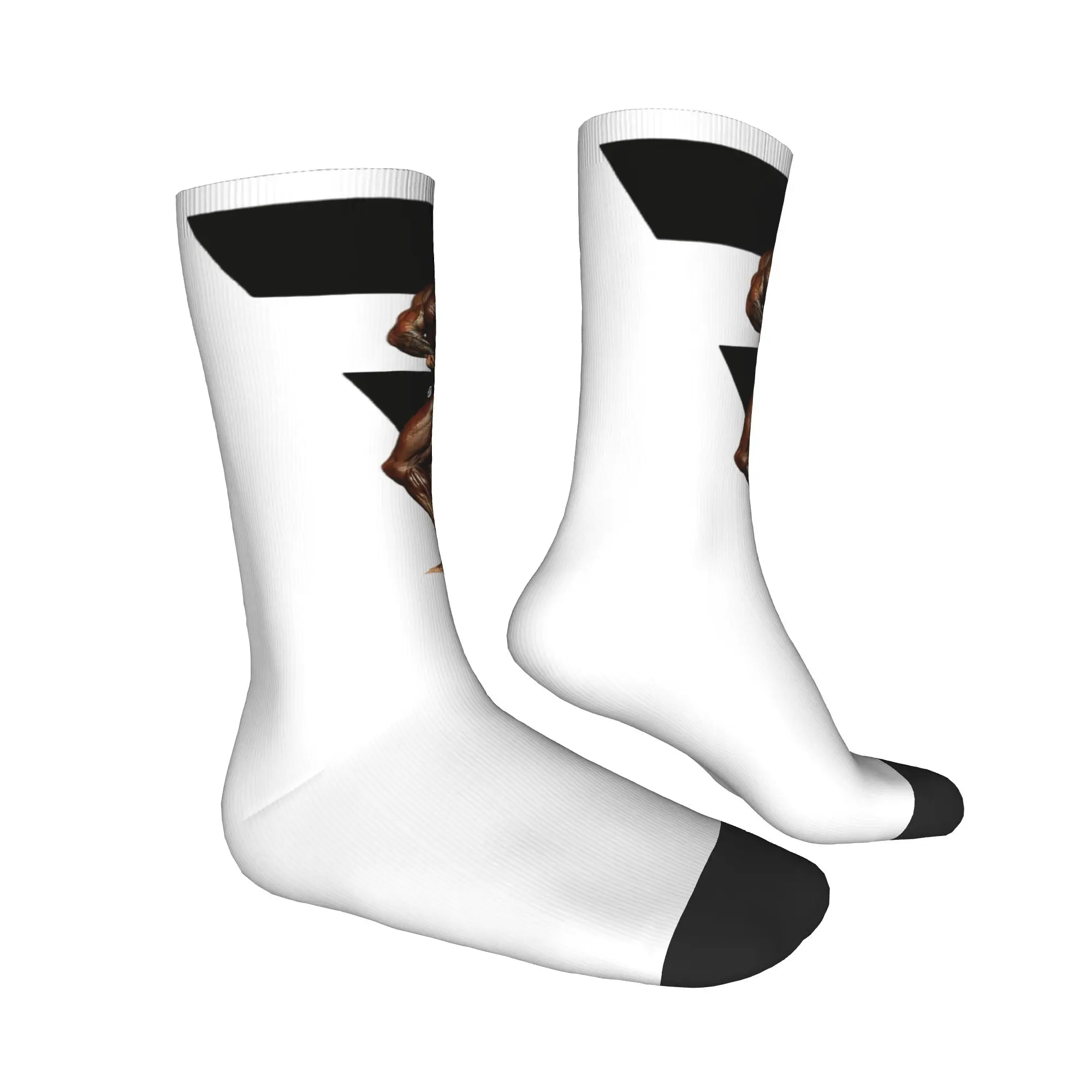 Bodybuilding Cbum Fashion Crew Socks 5 - Cbum Store kf S7efb2c80e00349468594281aac820de91 - Cbum Store